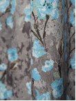 Draperie bumbac satinat flori multicolore